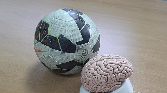 La relación entre el balón y el cerebro. 