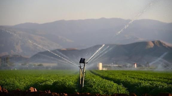 Se trata de una colaboración entre Telefónica y el gobierno extremeño. 