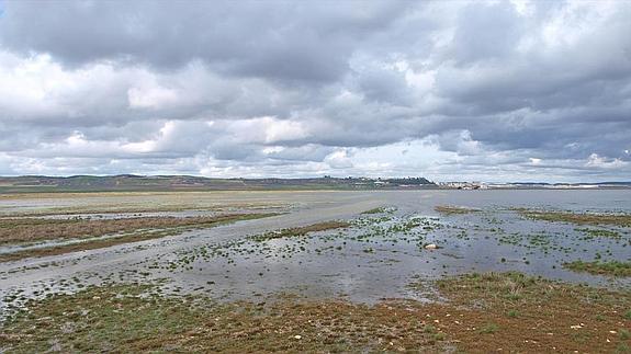 El Gobierno de Castilla-La Mancha intenta paralizar el cementerio nuclear con una laguna