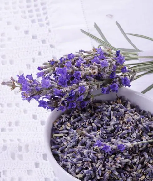 Lavanda. 