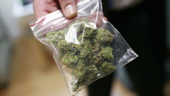 Bolsa de marihuana para uso terapéutico. 
