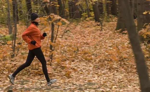 Mujer corre por el sendero de un bosque. 