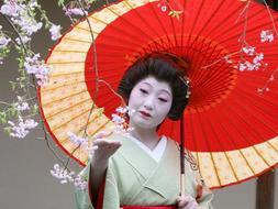 Una geisha contempla los cerezos en flor / Everett Kennedy Brown