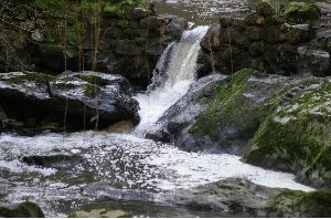 VERTIDOS. El río Duje recibe aguas contaminadas procedentes de explotaciones ganaderas. / N. A.