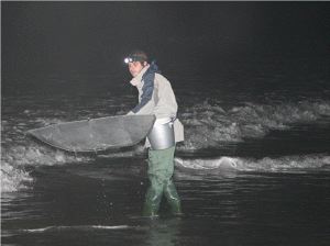 EN EL AGUA. Un pescador prueba suerte al oscurecer en la ría de Ribadesella. / NEL ACEBAL