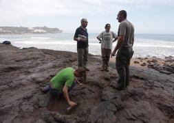 García Ramos supervisa los trabajos de limpieza de las huellas antes de comenzar con los moldes que servirán para hacer las réplicas. ::                             N.A.