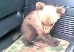 'Jimena', en el coche del minero que la rescató en abril. ::                             E. C.