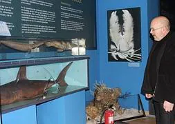 Luis Laria: "Alguien disfrutó de lo lindo arrasando lo que quedaba en el Museo del Calamar"