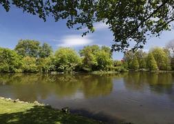 El dilema del estanque del parque Isabel la Católica
