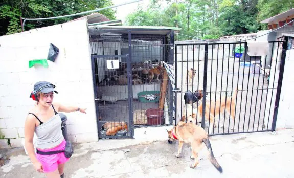 Una de las trabajadoras de la instalación señala las jaulas repletas de perros. 