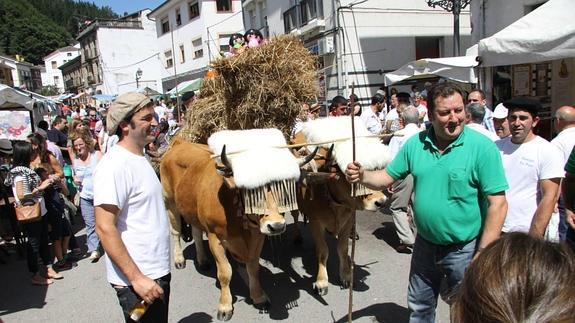 La Paloma de la Fraternidad une Bueño y Navelgas