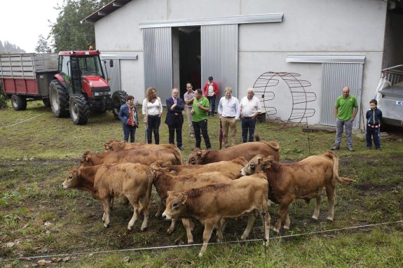 La ganadería de Celestina Rozada, en Porrúa, es una de las integradas en la cooperativa Bioastur. 