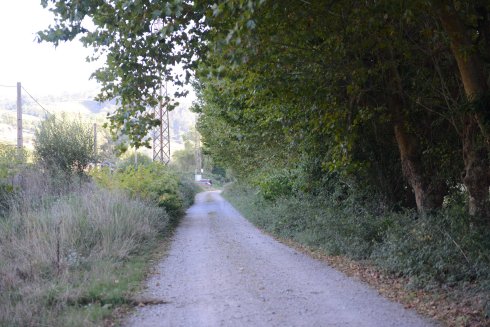 Siete reformas clave en caminos rurales