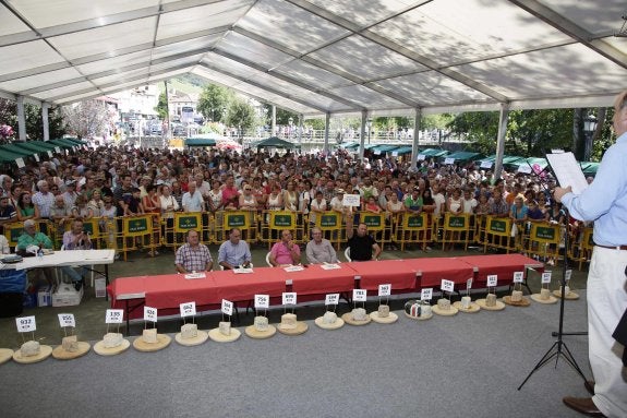 Alfonso Toyos levanta el cartel durante la puja en la que se hizo con el mejor queso Cabrales del año. La subasta fue seguida con interés por cientos de personas. 