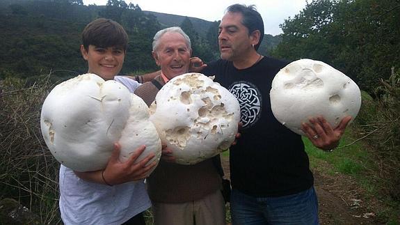 Álex, Víctor y Roberto López, muestran orgullosos los ejemplares de 'Lycoperdom maximun'. 