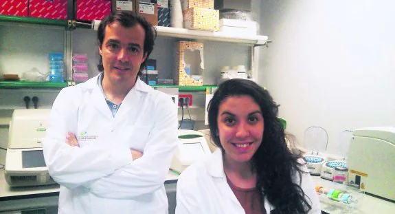 Los científicos avilesinos Pablo Menéndez, director del Instituto Josep Carreras, y Cristina Prieto, que prepara su tesis doctoral. 