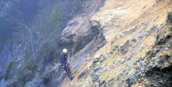 Uno de los operarios trabajando en la ladera en el momento en el momento de la retirada de uno de los robles. 