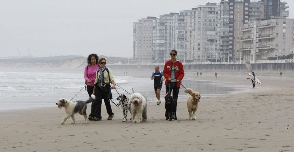 Tres mujeres pasean sus perros, atados, por la playa de Salinas. 