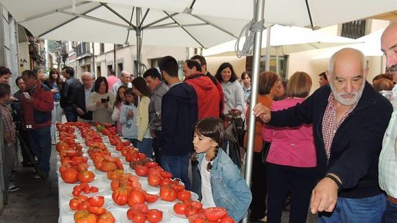 Números público acudió a la jornada, en la qu participaron 65 productores.