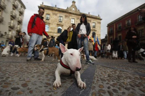 Manifestación para protestar contra la ley que regula la posesión de perros considerados peligrosos, en marzo pasado. 