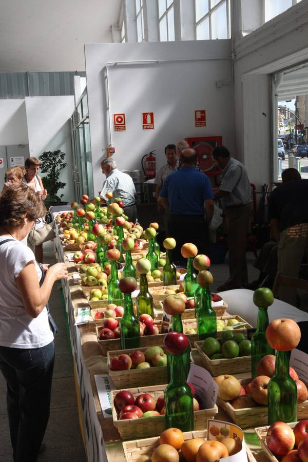 Manzanas expuestas en la pasada edición de Agrosiero.