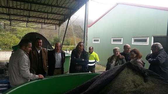 La visita de esta mañana a la piscifactoría de Las Mestas.