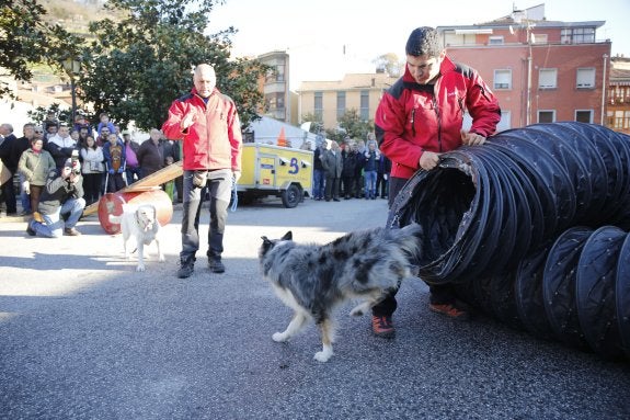 Exhibición canina llevada a cabo dentro del programa de Nevaria. 