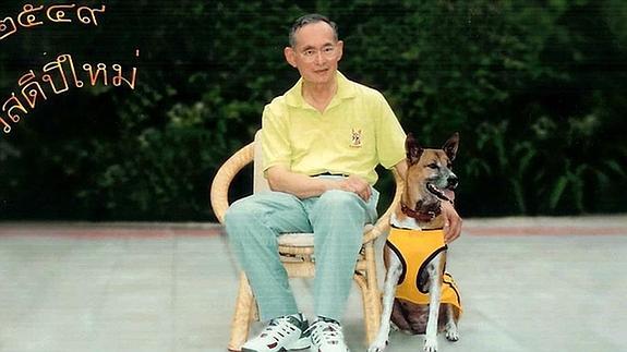 Se enfrenta a 37 años de cárcel por bromear en Facebook sobre la mascota del Rey de Tailandia