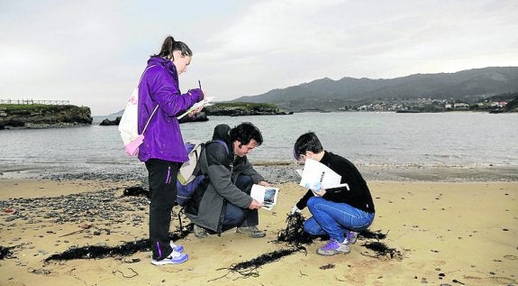 Rosana Artime, Arturo Gutiérrez y Paula Baldó toman datos del estado de la playa de La Isla durante la jornada de ayer. 