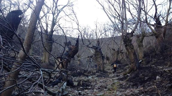 La soledad ante el fuego de los vecinos del valle del río Xenestaza