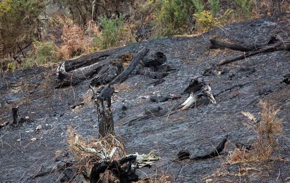 El rastro de destrucción que dejó el fuego en Sirviella, Onís. 