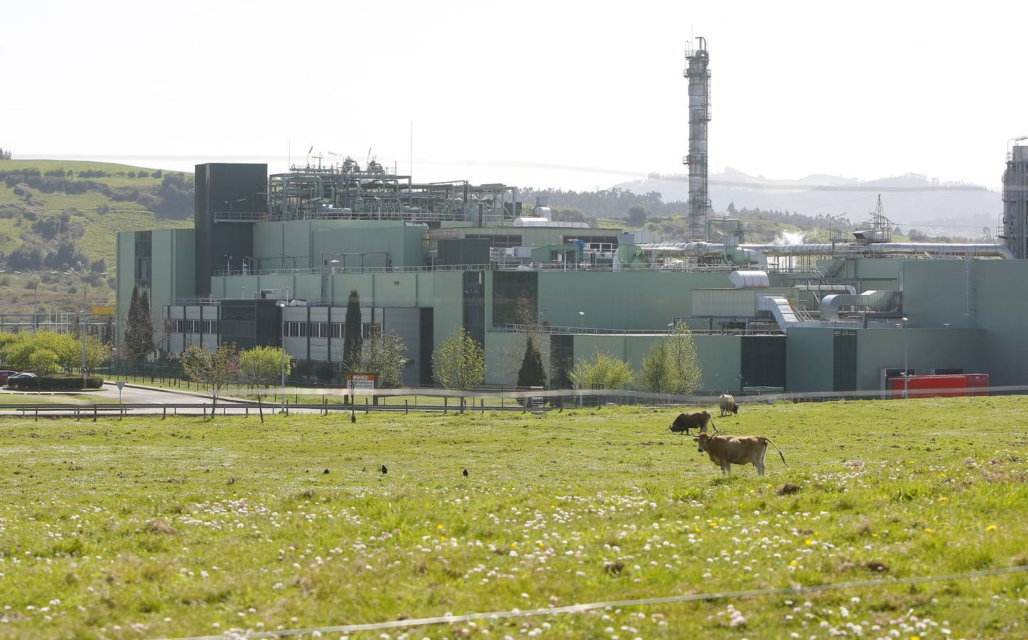 Factoría de Dupont Asturias, ubicada en Tamón.