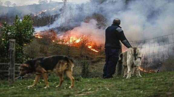 Incendio declarado ayer en Faedo, en Langreo.