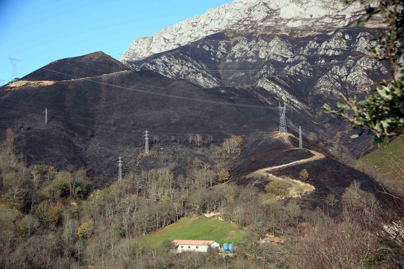 Monte quemado en el oriente de Asturias.