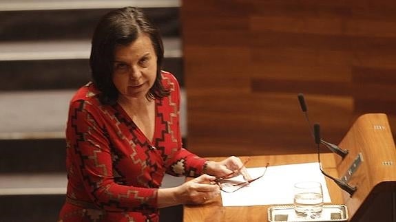 María Jesús Álvarez, durante una intervención en la Junta General.