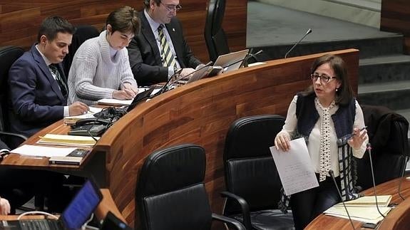 Belén Fernández, esta mañana, en la Junta General.