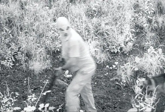 Imagen captada por una cámara del Fapas de un furtivo encapuchado en Coañana (Quirós). 