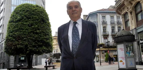 Julián Ruiz ante el árbol de la calle Palacio Valdés que él califica como «un monumento viviente» en pleno centro de la ciudad.  