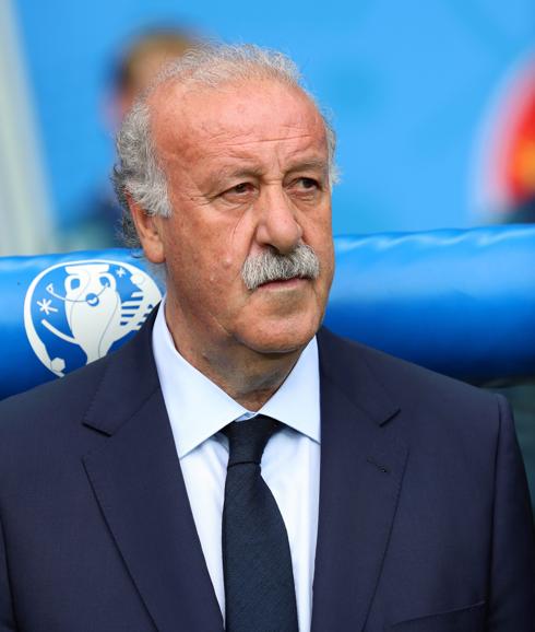 Vicente del Bosque en un partido con la selección española. 