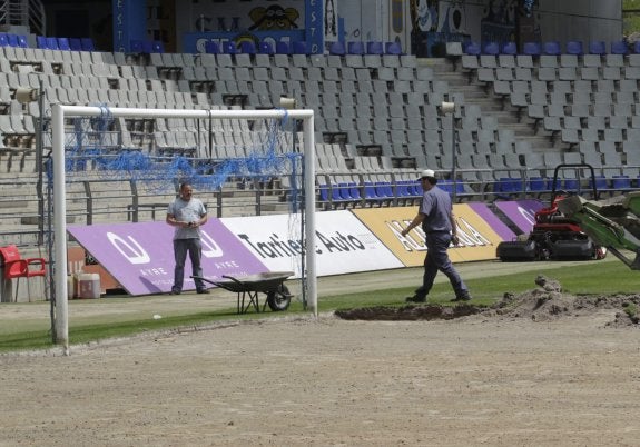 Será la primera vez que se cambie íntegramente el césped. 