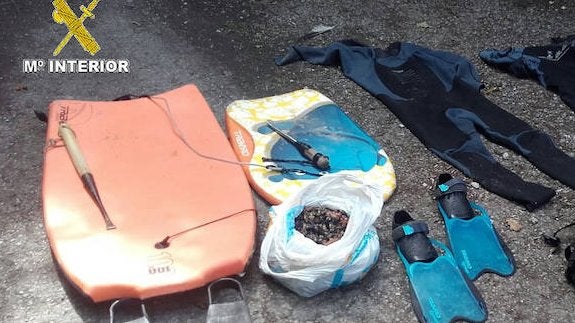 Percebes y material incautado por la Guardia Civil en Ribadedeva. 