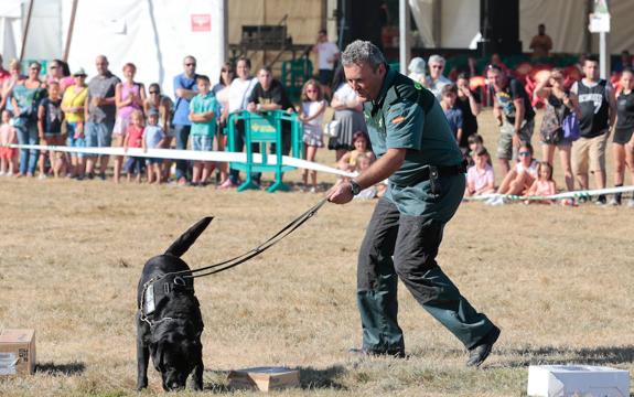 El perro de la Guardia Civil, Pancho, encuentra un paquete de hachís. 