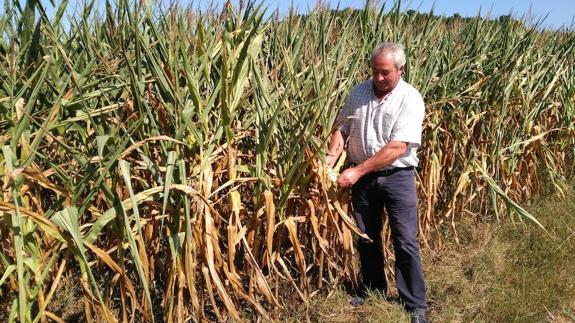 José Ramón Sánchez, en su finca de Casariego. 