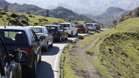 Retenciones en la carretera de acceso a los Lagos de Covadonga al finalizar la temporada del Plan de Transporte.