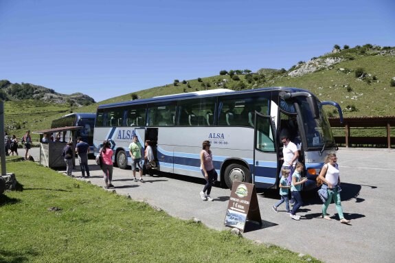 Autobuses del Plan de Transporte a los Lagos el pasado 15 de julio, día en el que comenzó el servicio para la temporada de verano. 