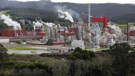 Instalaciones de Ence en Navia. 