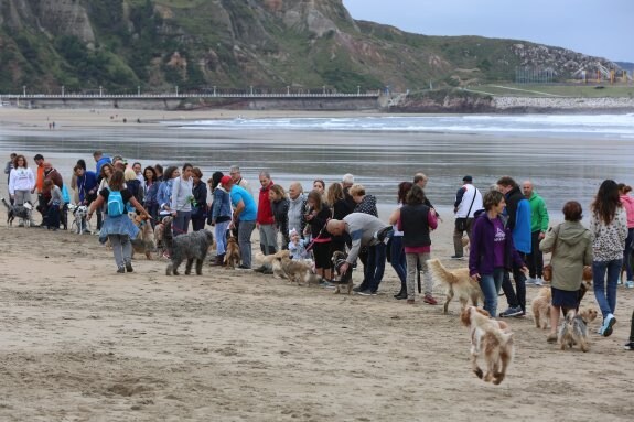 Concentración de los propietarios de perros en la playa de Salinas este verano. 