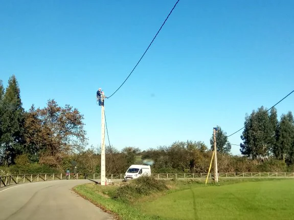 El entorno del pantano ve la luz