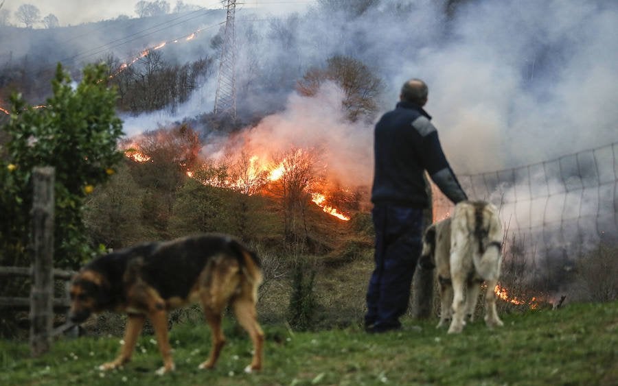 Un hombre observa impotente uno de los incendios, en el monte Faedo, Langreo.