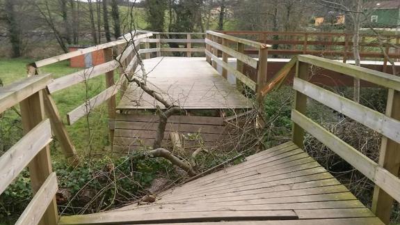 La senda del Río Magdalena, cerrada por la caída de un aliso